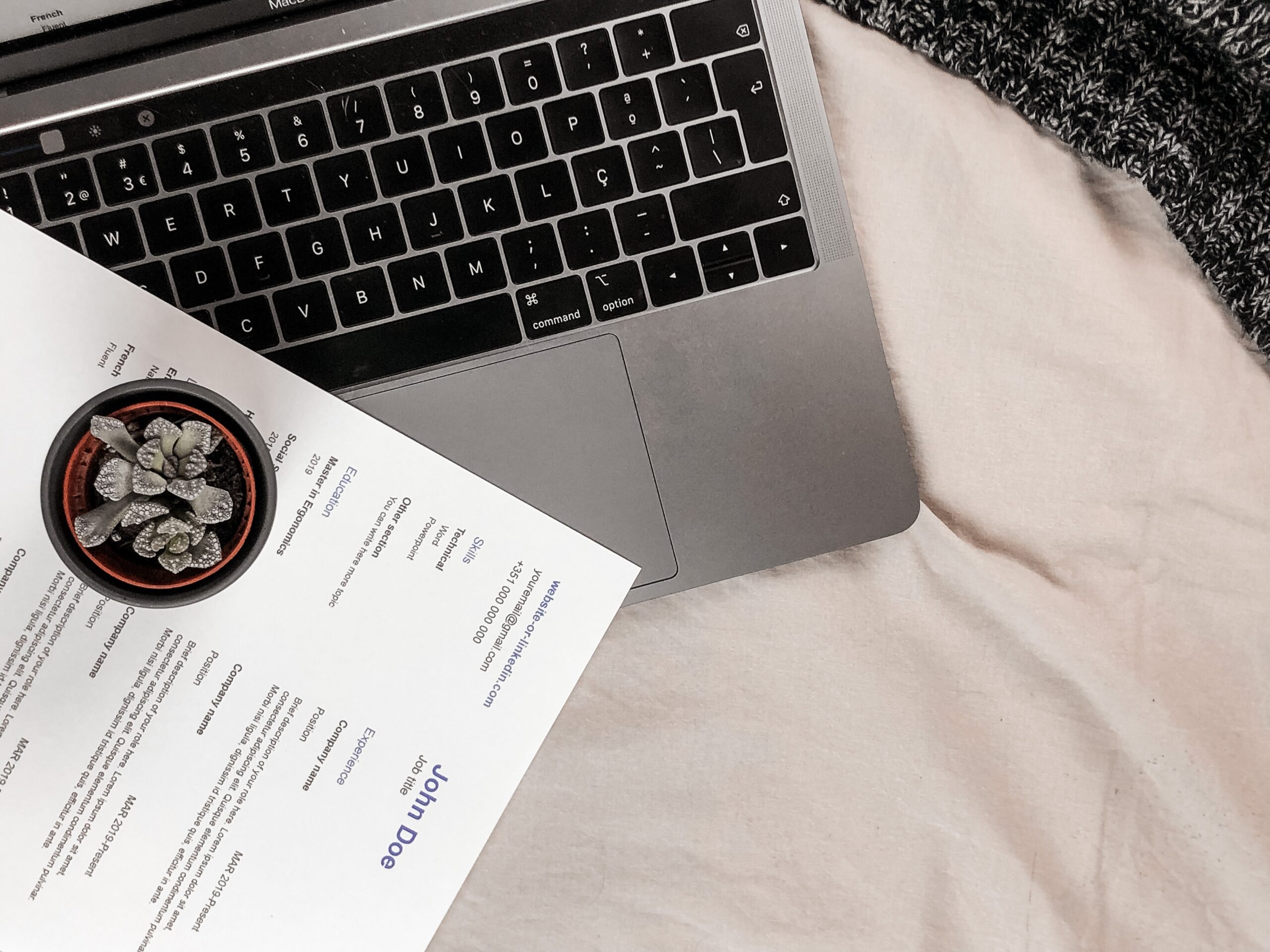 Laptop with plant